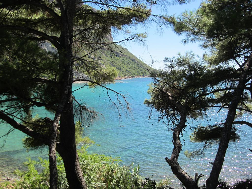 By Cassis Chambre Privee Dans Maison Familiale Εξωτερικό φωτογραφία